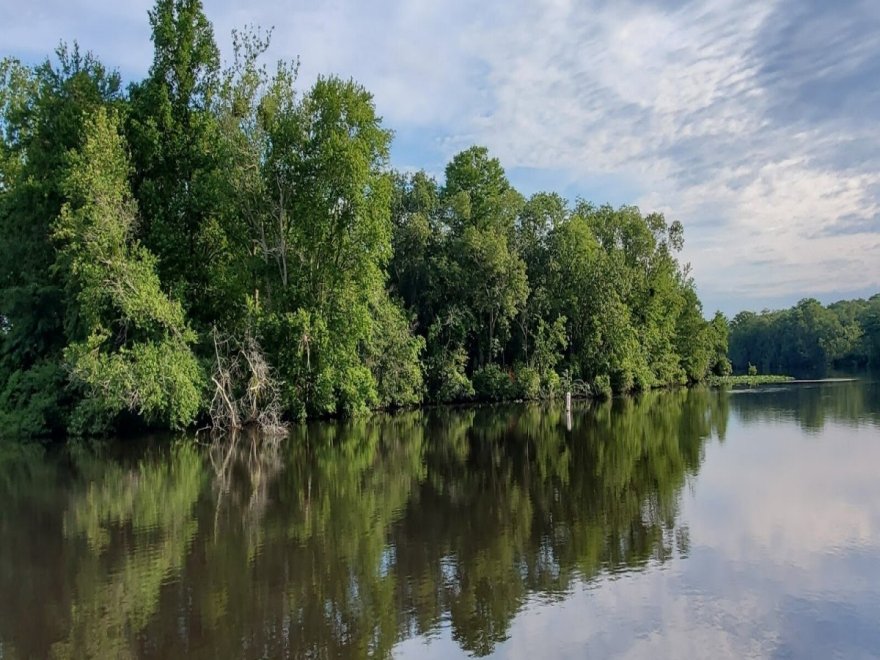 Pocomoke River Canoe Company