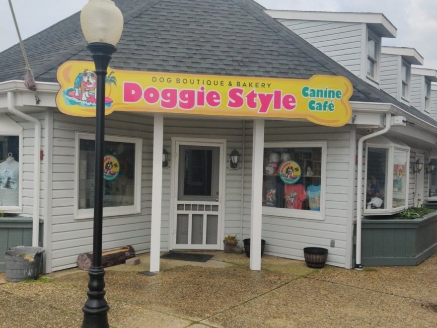 Doggie Style K9 Cafe