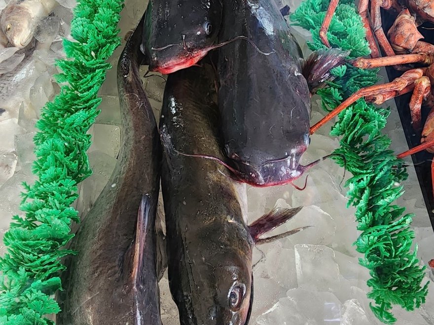 Ocean Highway Seafood & Productions